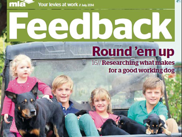 In July 2014, we were excited to see our kids and kelpies feature on the front page of the Meat & Livestock Feedback Magazine.