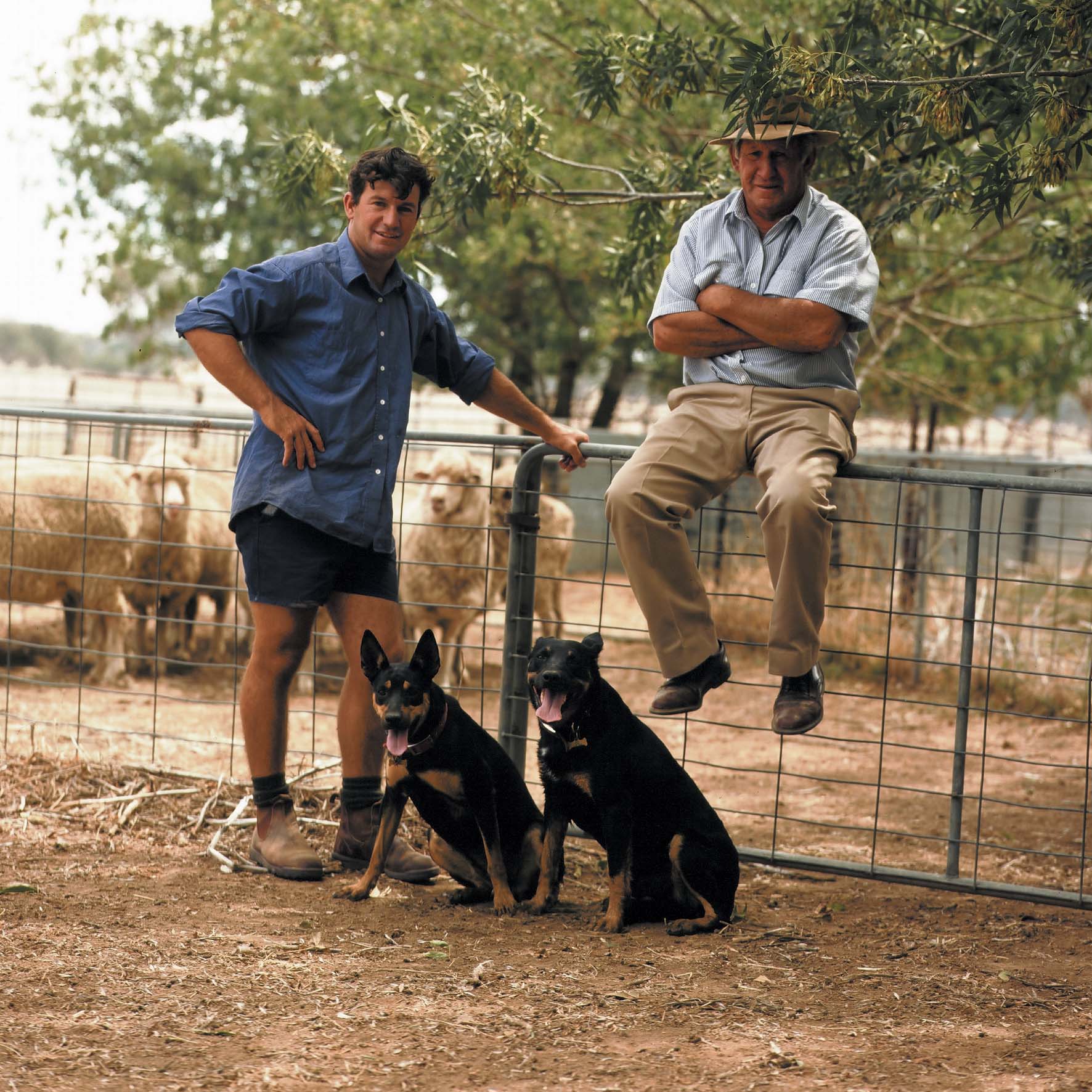 milburn kelpies